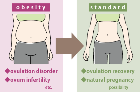 Obesity can cause infertility