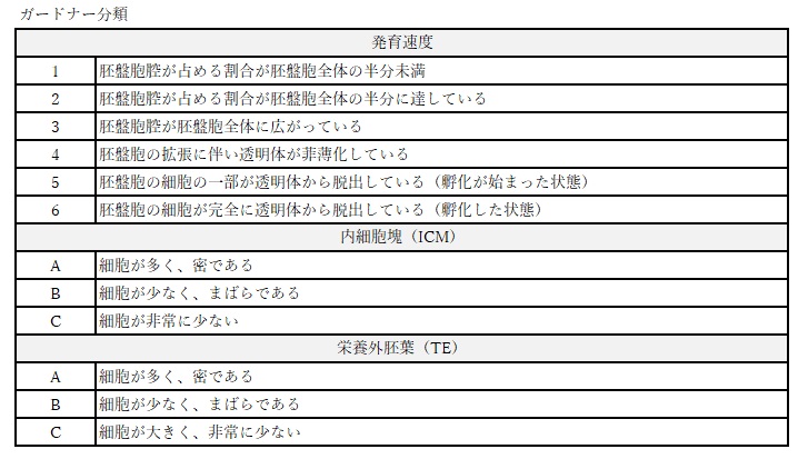 低グレード胚盤胞の妊娠 出産例 医療法人オーク会 不妊ブログ 低グレード胚盤胞の妊娠 出産例 医療法人オーク会 不妊ブログ