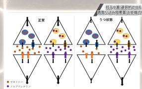 Oak Journal Review：抗うつ薬(選択的セロトニン再取り込み阻害薬)と妊娠の関係