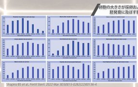 Oak Journal Review：卵胞の大きさが採卵および胚発育に及ぼす影響