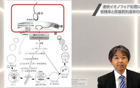 Oak Journal Review：連続イオノフォア処理による受精率と胚盤胞到達率の改善