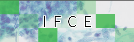 IFCE（子宫内膜再生技术）