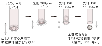 卵の裸化