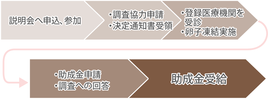 助成金支給までの流れ