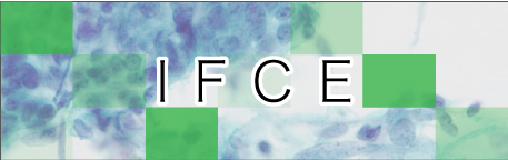 IFCE（子宮内膜再生技術）
