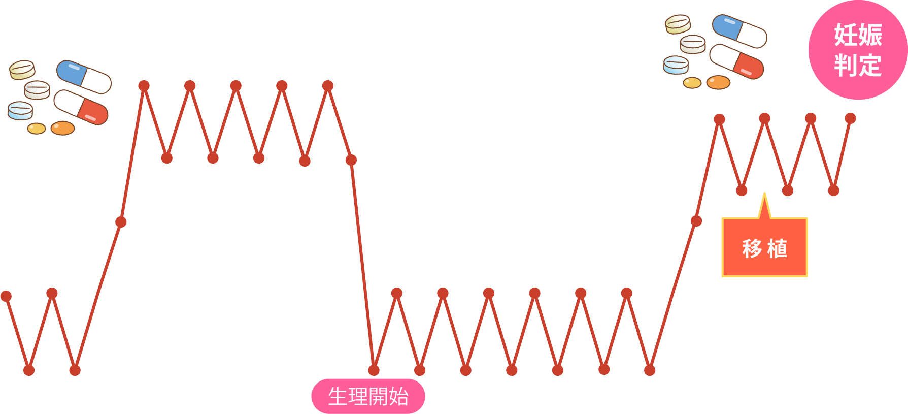 凍結した胚を融解して移植する周期を決める方法