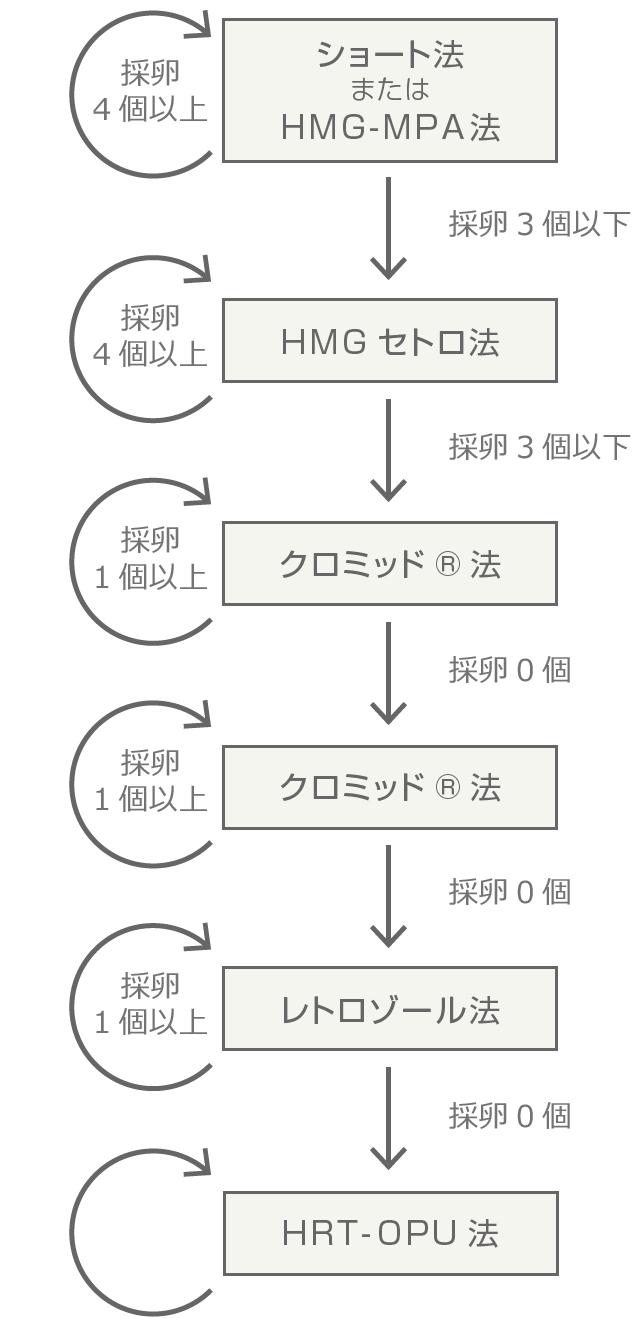 スケジュール 体外 受精