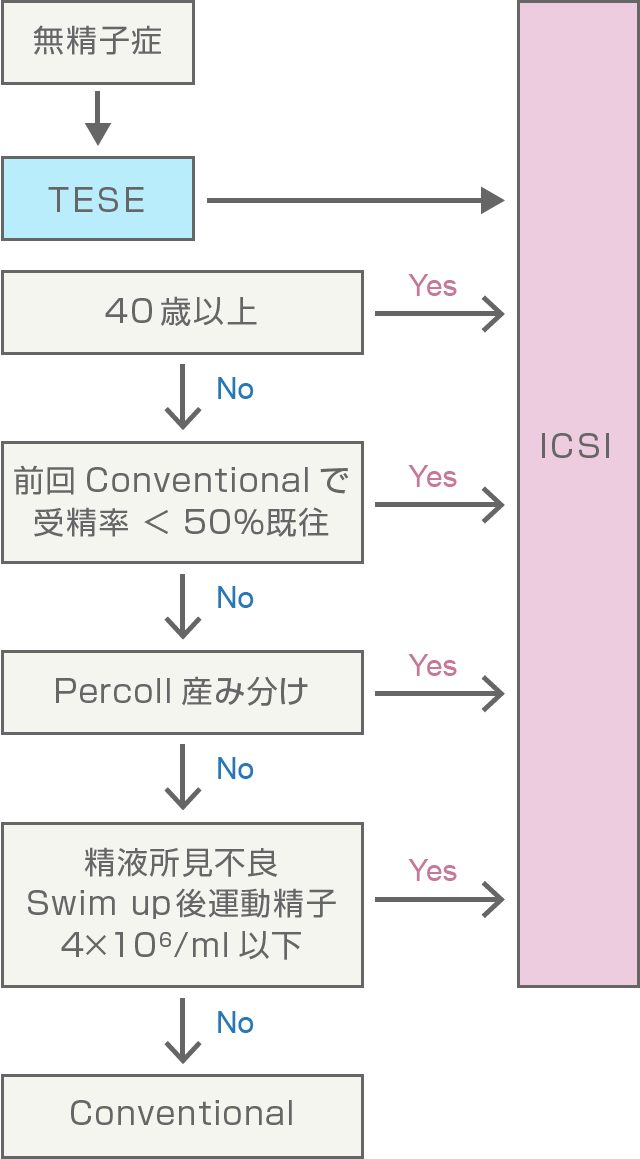 顕微授精（ICSI）の流れ