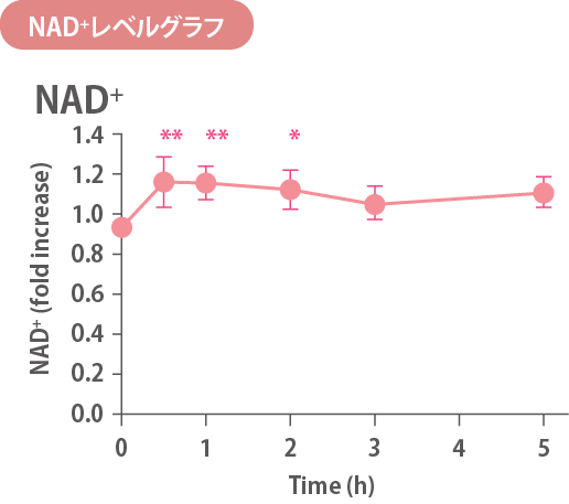 NAD+レベルグラフ