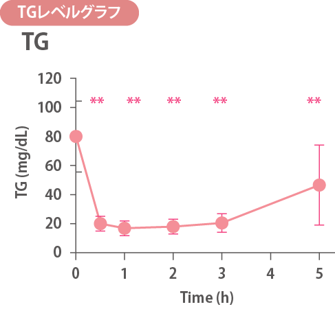 TGレベルグラフ