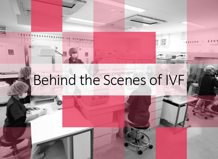 Behind the Scenes of IVF