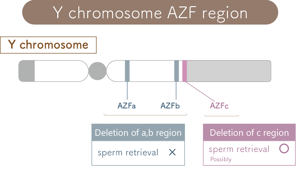 Y Chromosome Micro-deletion