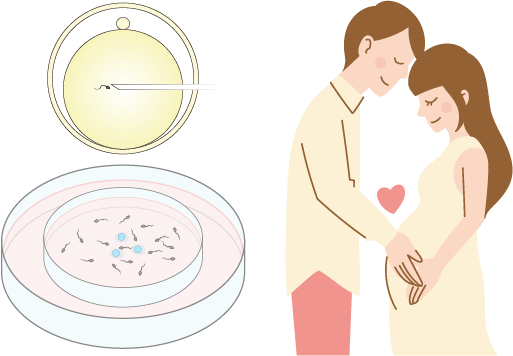 Comparison of IVF-ET and natural pregnancy