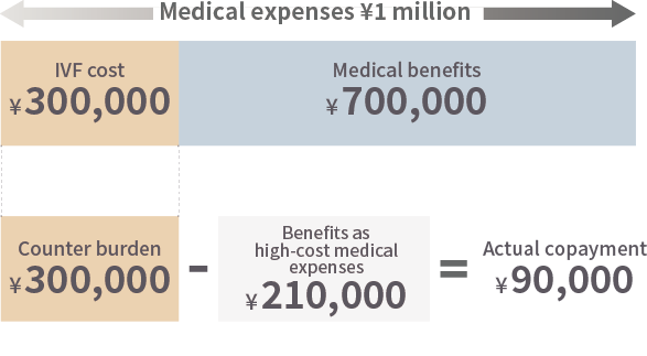 Mechanism of high-cost medical care expense system
