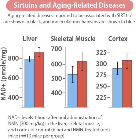 Sirtuins and aging-related diseases graph