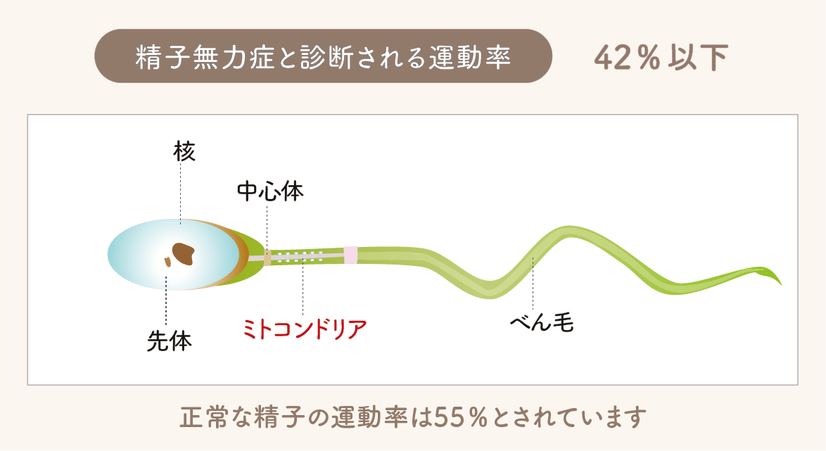 精子無力症と診断される運動率
