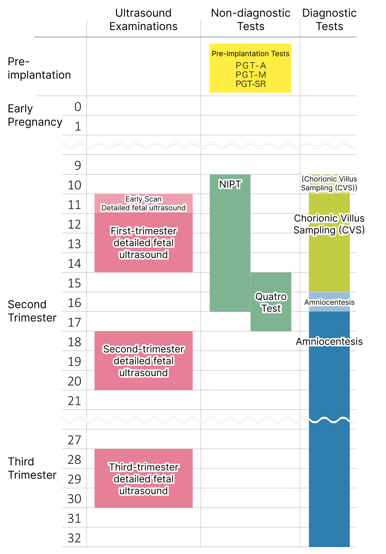 胎児診断の流れ