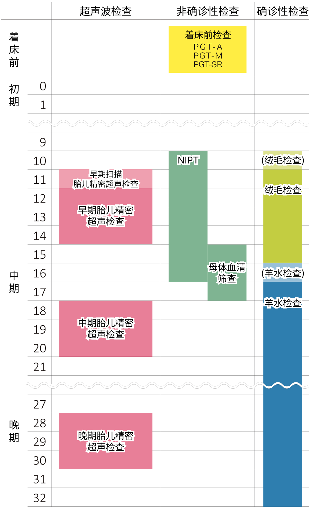 胎児診断の流れ