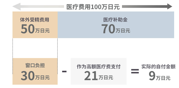 高额医疗费用制度的机制